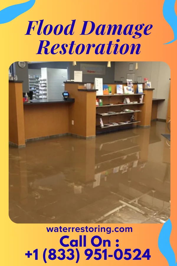 Flood Damage Restoration in Mingo Junction, OH