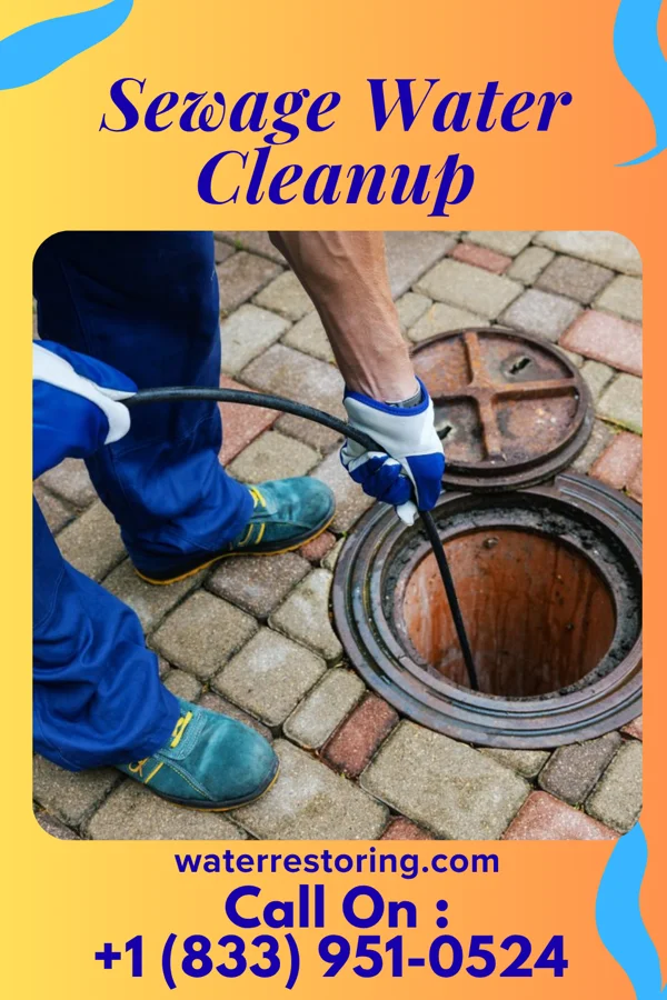 Sewage Water Cleanup in Mingo Junction, OH