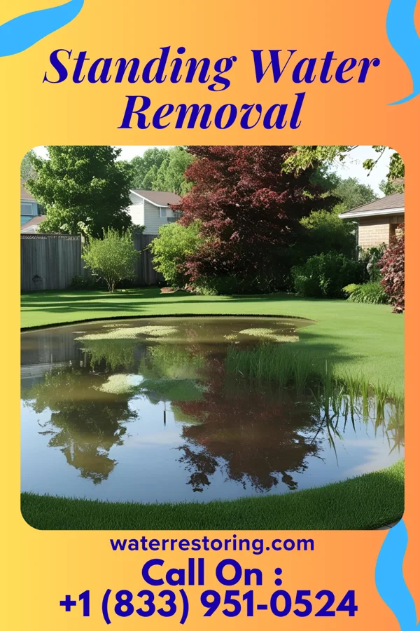 Standing Water Removal in Mingo Junction, OH